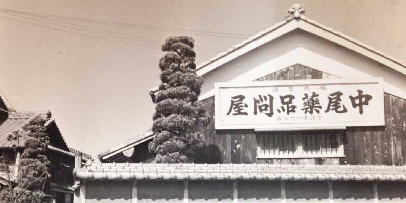 中尾薬局問屋